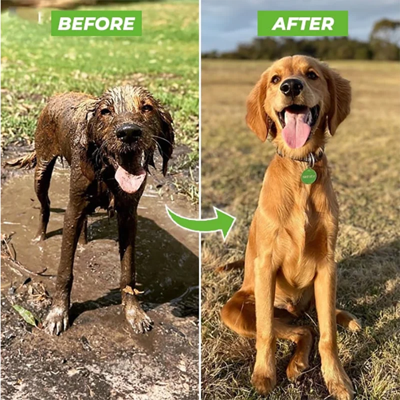 High-pressure Dog Shower Gun